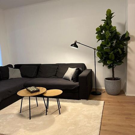 Ferienwohnung Haus Paraschiv Aue  Esterno foto