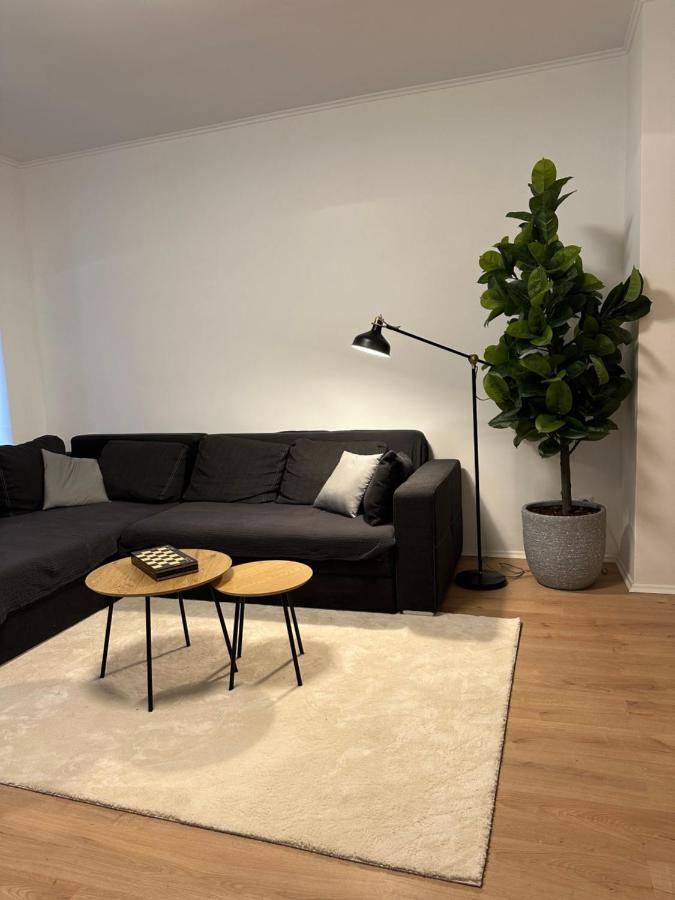 Ferienwohnung Haus Paraschiv Aue  Esterno foto